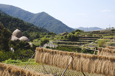 小豆島の家1